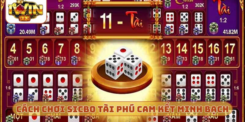 Cách chơi Sicbo Tài Phú cam kết sự minh bạch