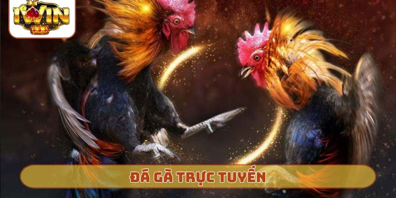 Đá gà trực tuyến